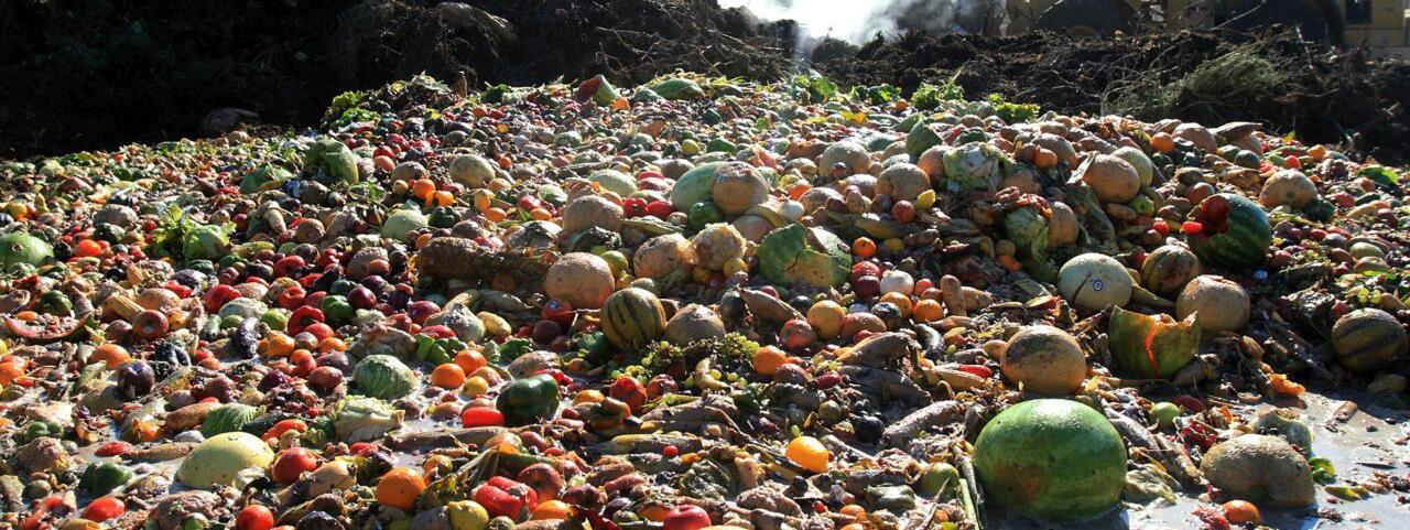 Food Waste Recycling