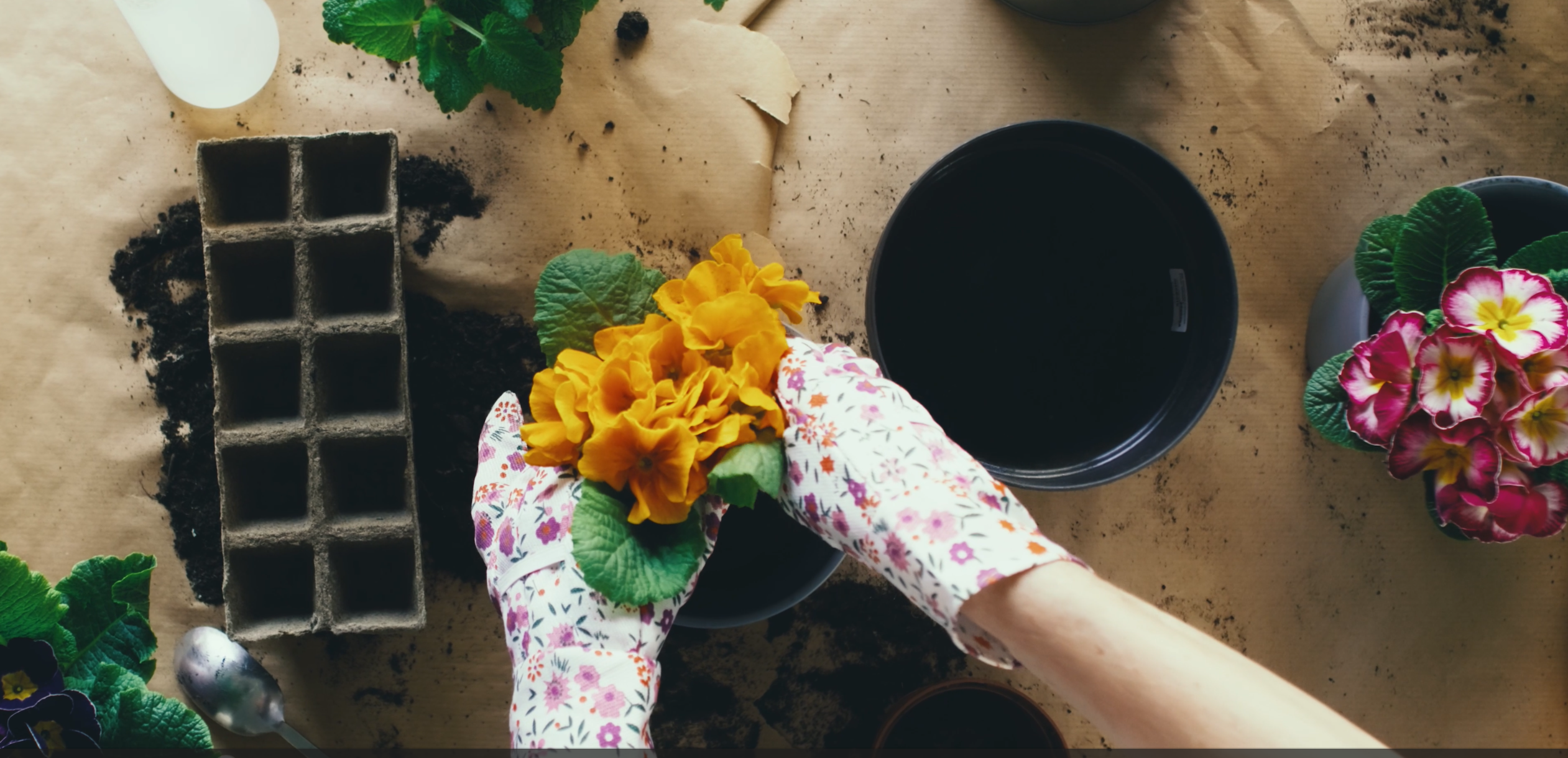 Do Electric Composters Really Make Compost?