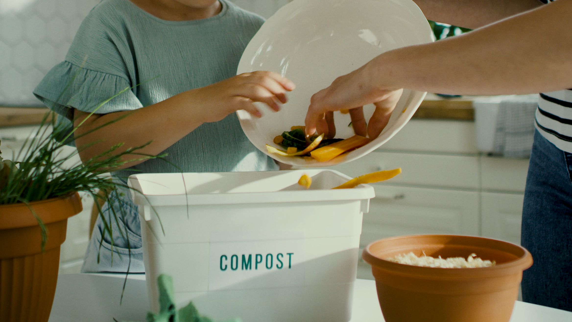 Composting - Making That First Step