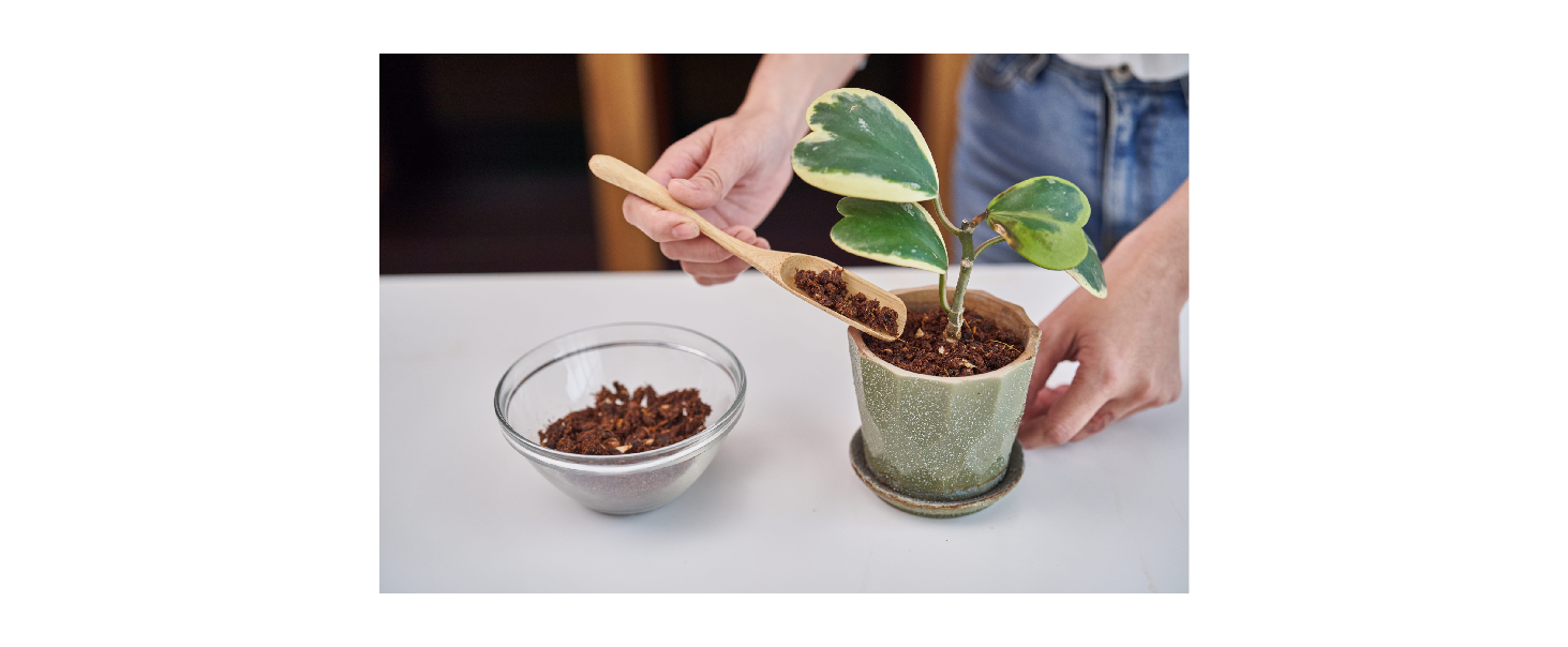 A Guide to Choosing Organic Fertilizer: Nagualep Organic vs. Chemical Fertilizers